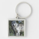 Suche nach in yellowstone accessoires Tiere im wilden