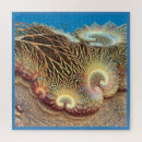 Suche nach korallenriff puzzle Meeresboden