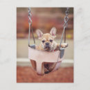 Suche nach cute animals postkarten Dog