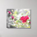 Suche nach rote rose leinwandbilder Natur