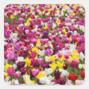 Suche nach tulpen aufkleber Quelle