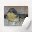 Suche nach schwalbe mousepads Vögel