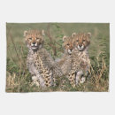 Suche nach kenia geschirr tücher Niemand