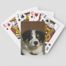 Suche nach border collie spielkarten Welpe