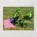 Suche nach air force postkarten Amerikanisch
