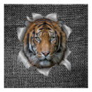 Suche nach bengalischer tiger poster Indianisch