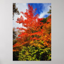 Suche nach herbstbaum poster Niedlich