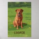 Suche nach red fox poster Haustiere
