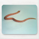 Suche nach schlangen mousepads Reptil