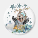 Suche nach yorkshire terrier magnete Rassen