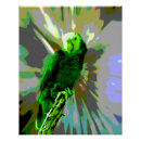 Suche nach papageien poster Vögel