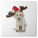 Suche nach ren fliesen Niedlich