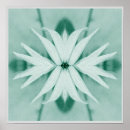 Suche nach fotomanipulation poster Natur