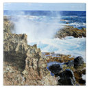 Suche nach karibisches meer fliesen Aruba