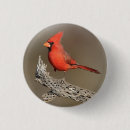 Suche nach roter kardinal buttons Tierwelt