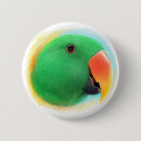 Suche nach papageien buttons Vogel