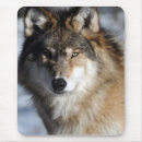 Suche nach graue wölfe mousepads Hunde