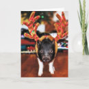 Suche nach weihnachtsschwein karten Schweine
