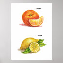 Suche nach küchenkunst poster Illustration