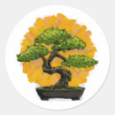 Suche nach bonsai aufkleber Botanisch