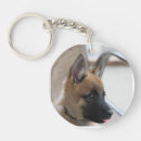 Suche nach malinois schlüsselanhänger Welpe