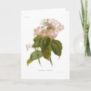 Suche nach botanischer druck karten Illustration