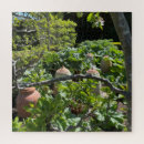 Suche nach landgarten Grün