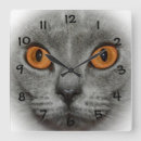 Suche nach orange auge kunst Katze