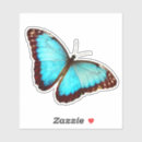 Suche nach morpho aufkleber Schmetterling