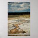 Suche nach farbton poster Sommer