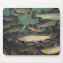 Suche nach forelle mousepads Tiere
