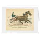 Suche nach trotten Stallion