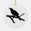 Suche nach spottdrossel ornamente Vogelvogel