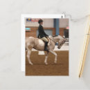 Suche nach paint horse postkarten Pferd