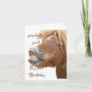 Suche nach horse birthday karten Spaß
