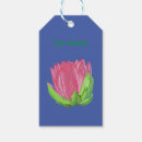 Suche nach wasser lilly Botanisch