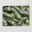 Suche nach grüne paprikaschoten postkarten Jalapeno