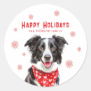 Suche nach border collie aufkleber Schneeflocken