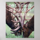 Suche nach wildnis poster Tier