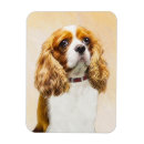 Suche nach charles magnete Cavalier king charles spaniel