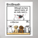 Suche nach adopt poster Shelter