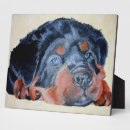 Suche nach rottweiler fotoplatten Hund