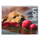 Suche nach freier raum kalender Hund