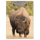 Suche nach wild lebende tiere klemmbrett Tierthemen