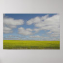 Suche nach prarie kunst Foto