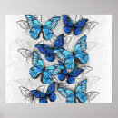 Suche nach weißer schmetterling poster Grau
