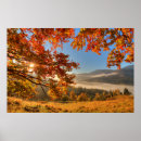 Suche nach herbstwald poster Baum