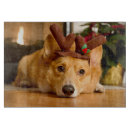 Suche nach welpe schneidebrettchen Niedlich