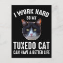 Suche nach katze postkarten Kitty