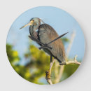 Suche nach großer vogel wanduhren Reiher